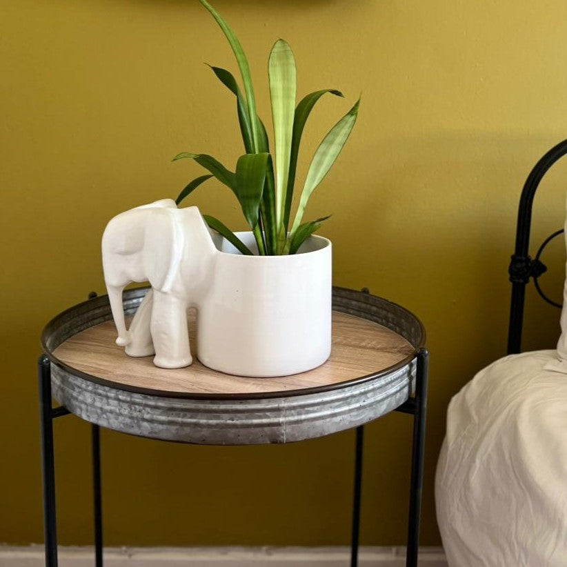 Elephant Pot plant Holder Large