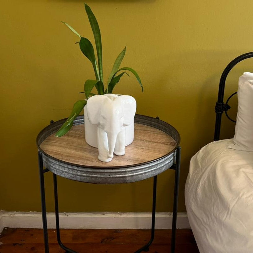 Elephant Pot plant Holder Large