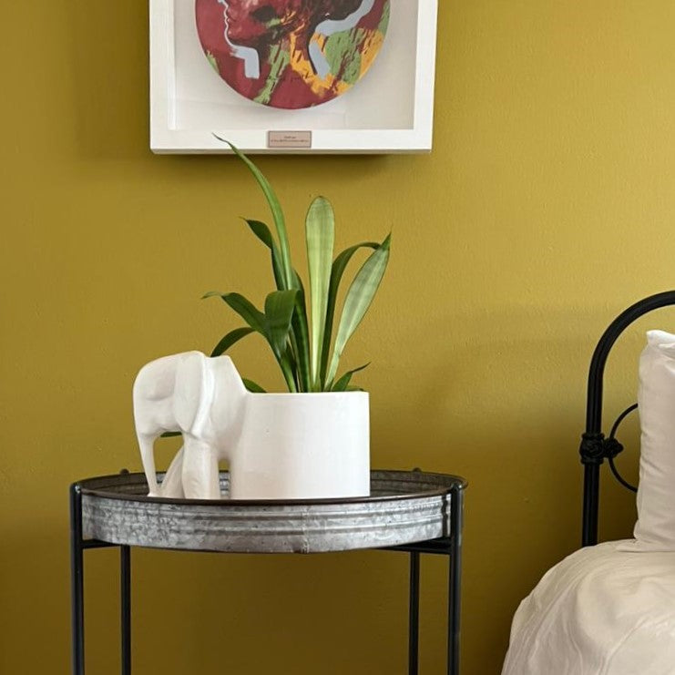 Elephant Pot plant Holder Large