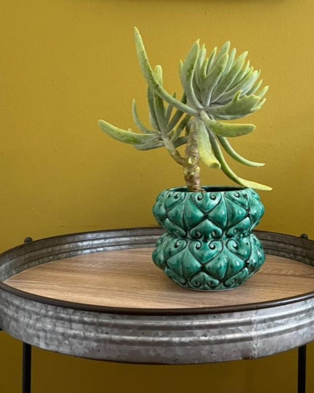 Green potted plant on a round metal table with a yellow wall background