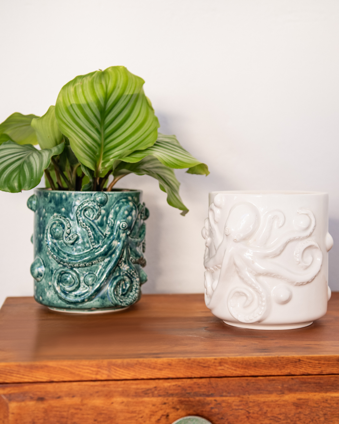 The Creepy Crawly Octopus Planter