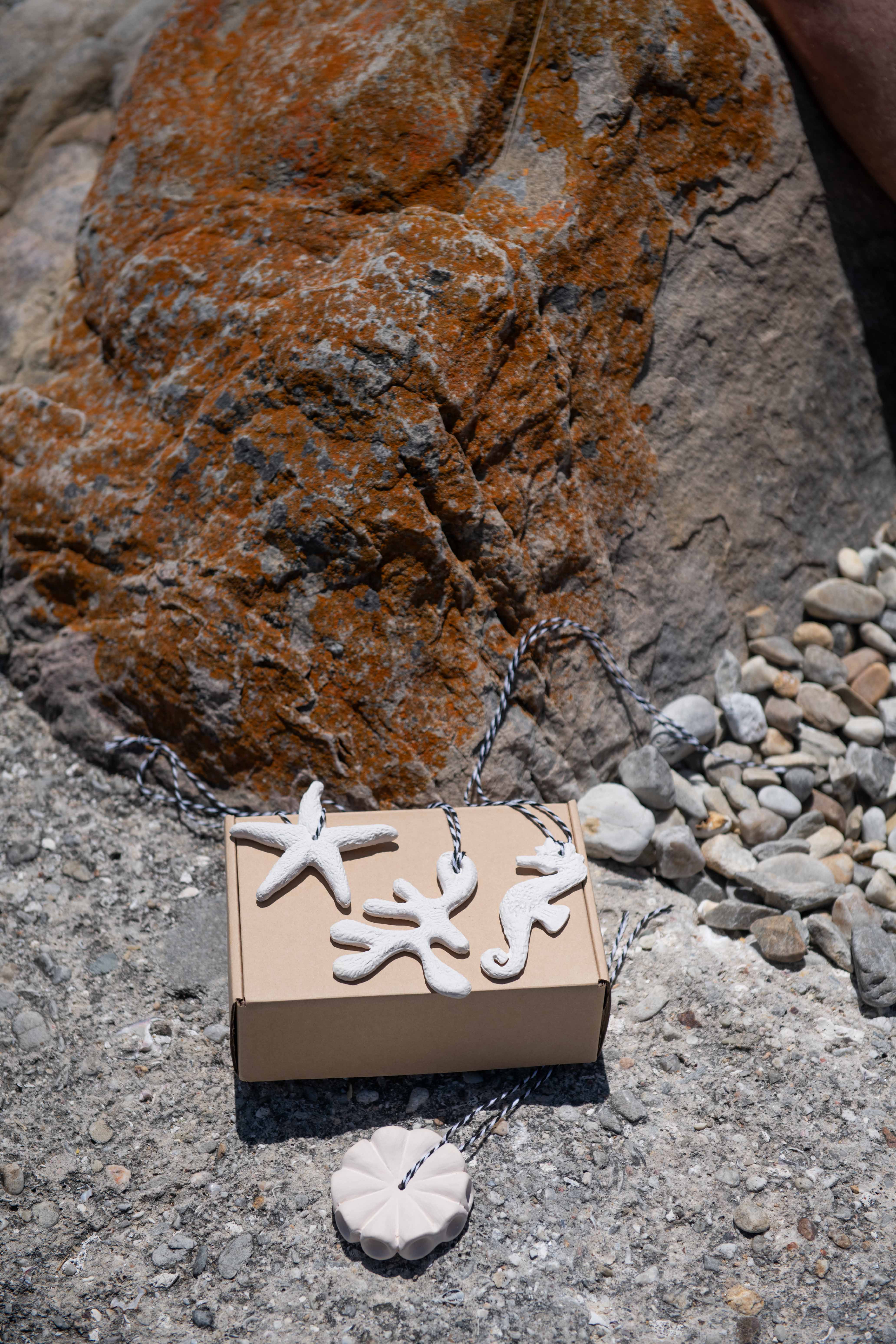 Christmas Tree Decorations with starfish pendants on a stone surface