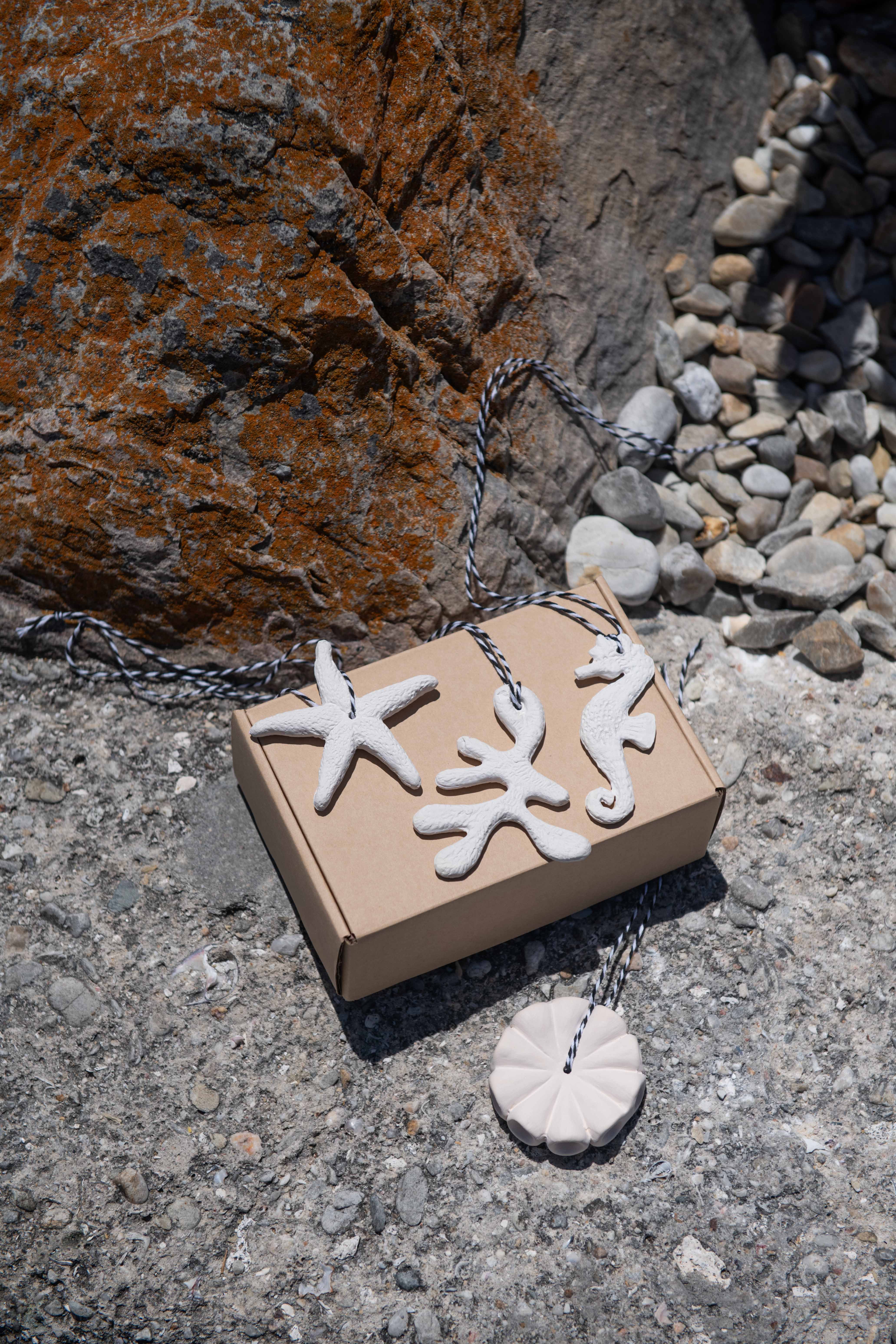 Decorative items including starfish and coral on a cardboard box against a rocky background