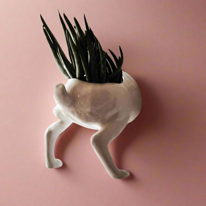 Raz The Riverine Rabbit Wall Planters