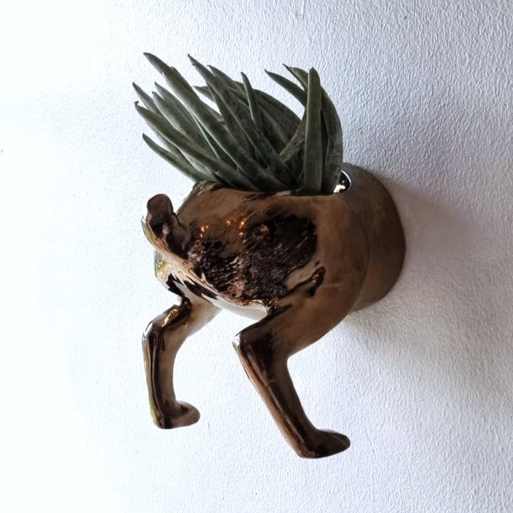 Raz The Riverine Rabbit Wall Planters