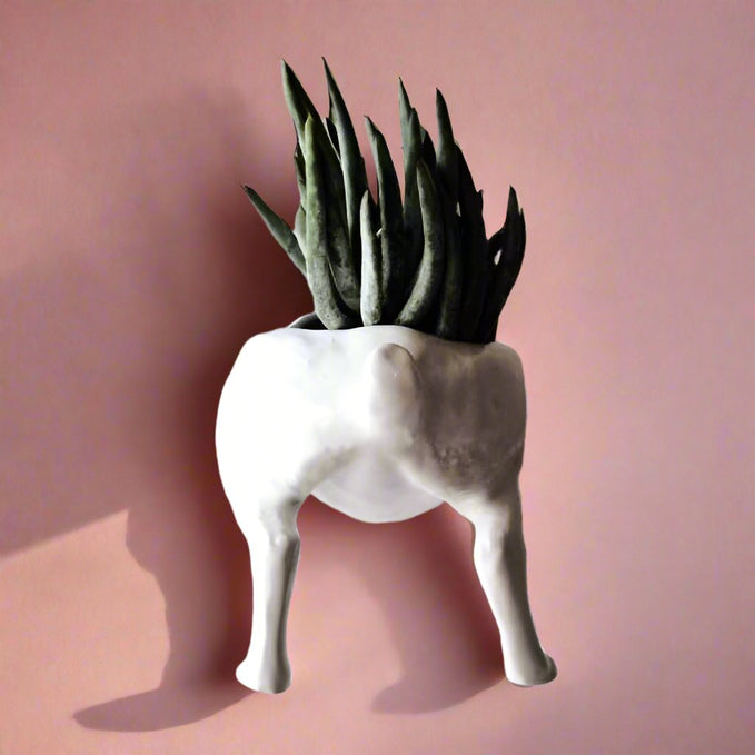 Raz The Riverine Rabbit Wall Planters
