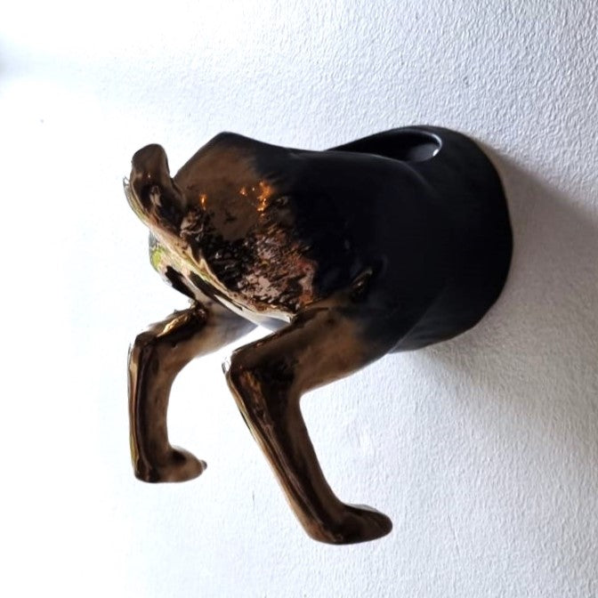 Raz The Riverine Rabbit Wall Planters