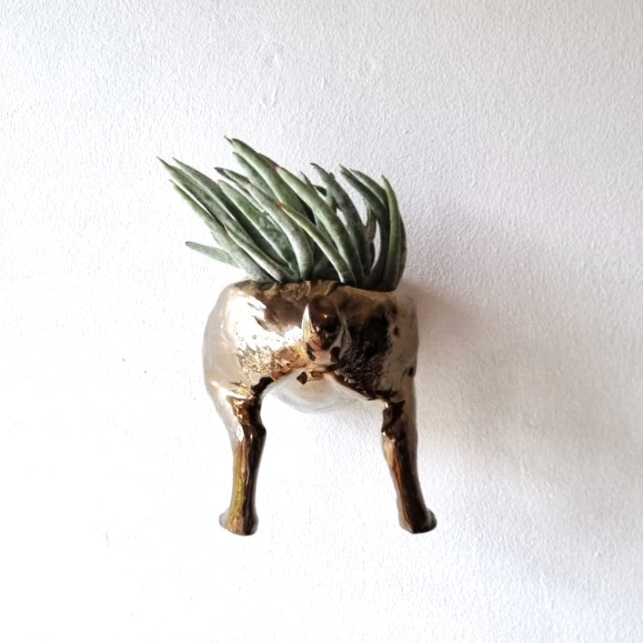 Riverine Rabbit planter Head and Bum Set