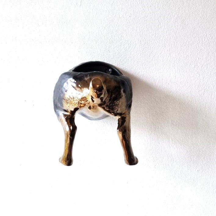 Raz The Riverine Rabbit Wall Planters