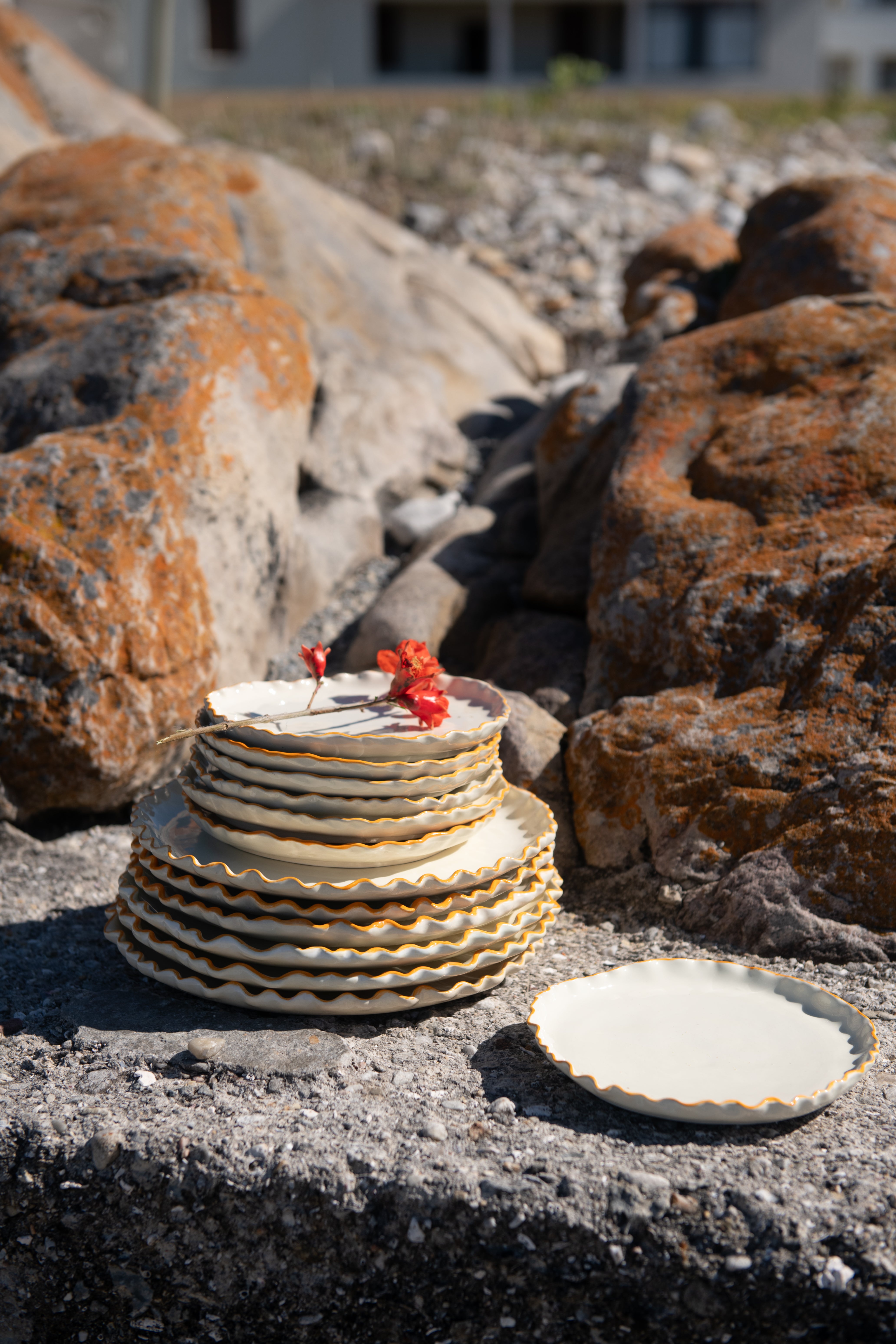 Saffron Coral Reef Dinner Plate Set Of 6