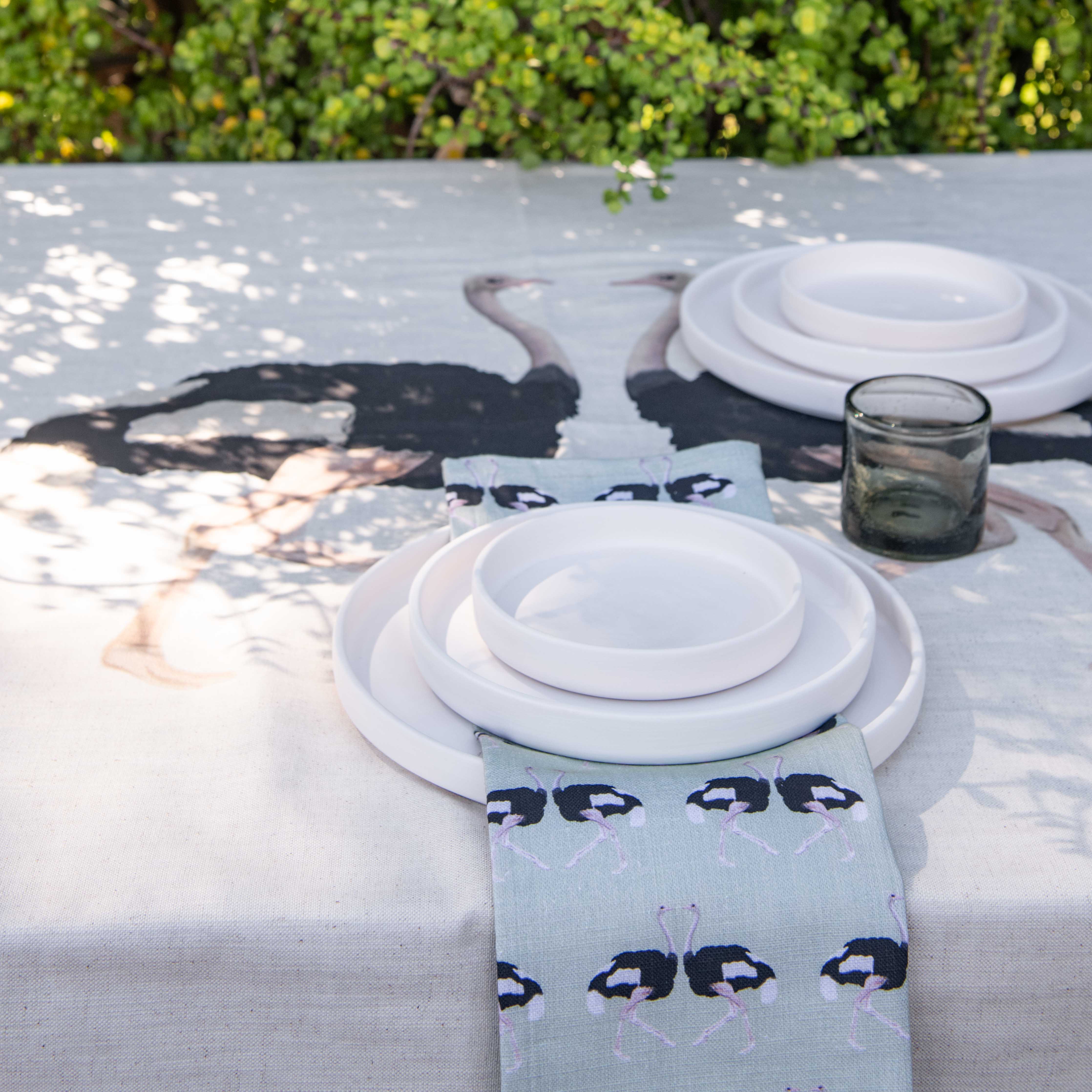 An African Farm Ostrich Napkins - set of 2