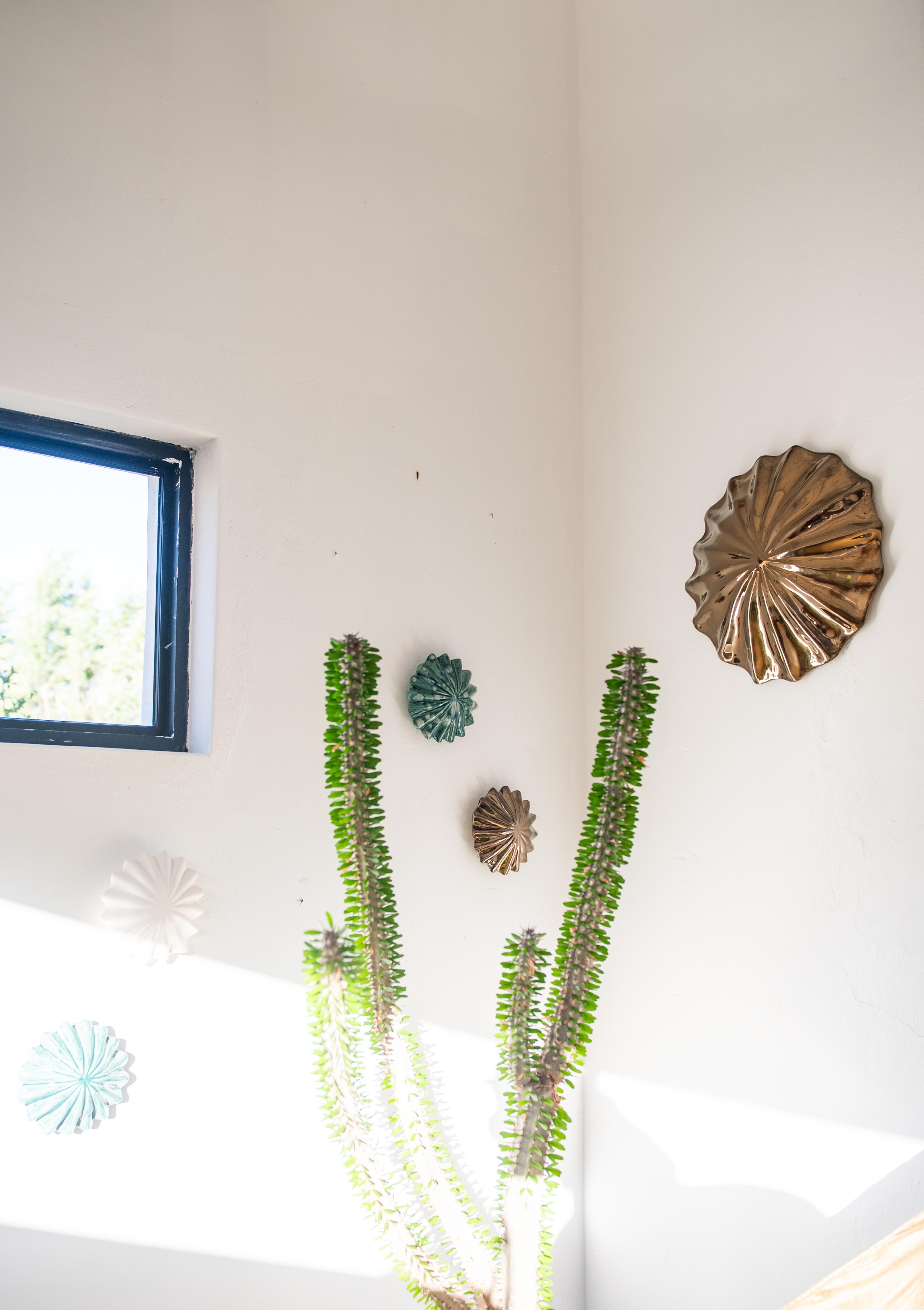 Small Sea Anemone Wall Decor