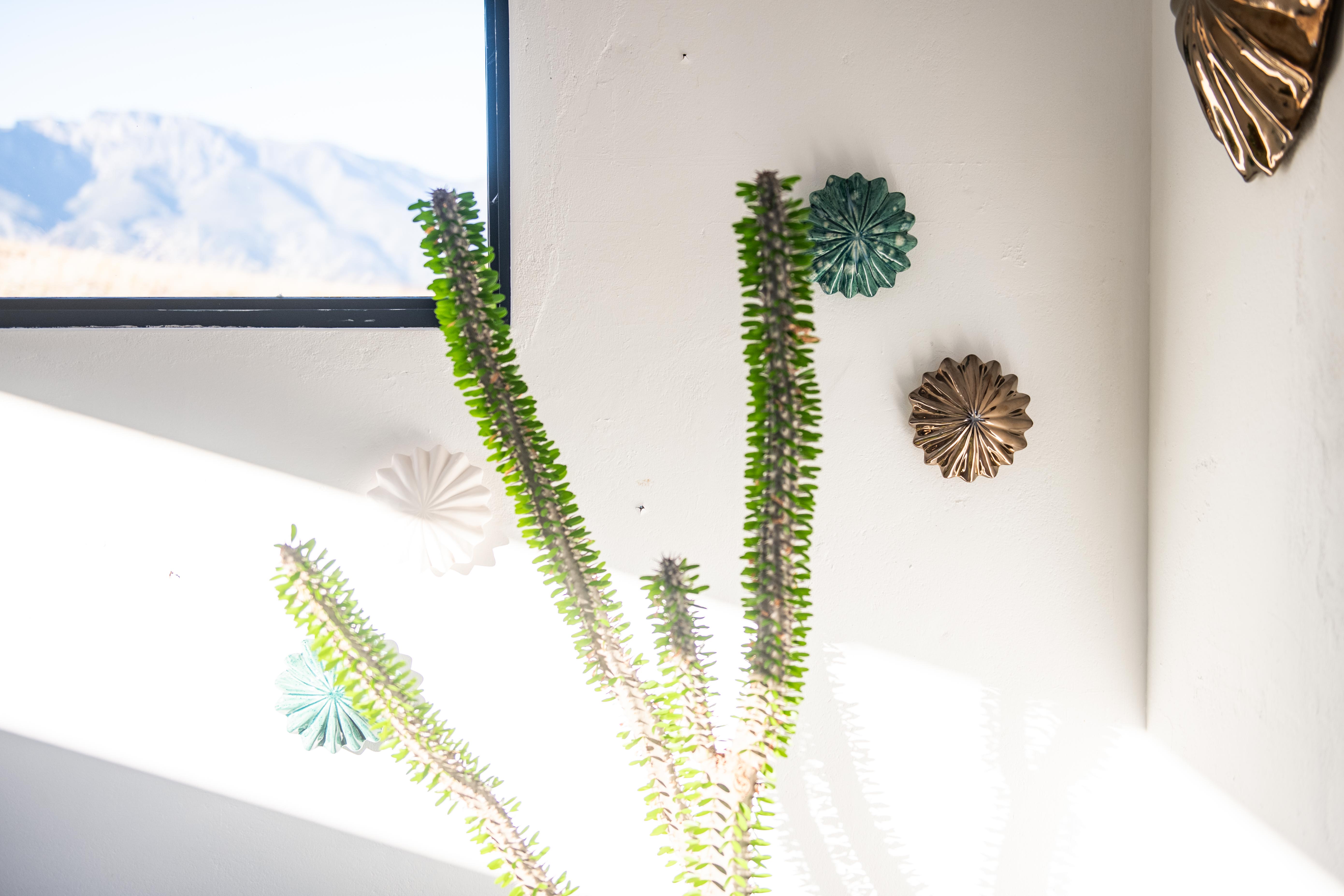 Small Sea Anemone Wall Decor