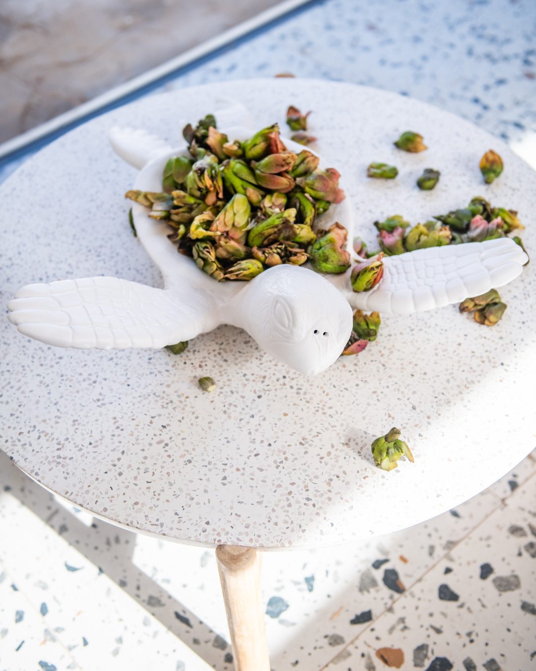 Large White ceramic turtle bowl with green succulents on a speckled surface