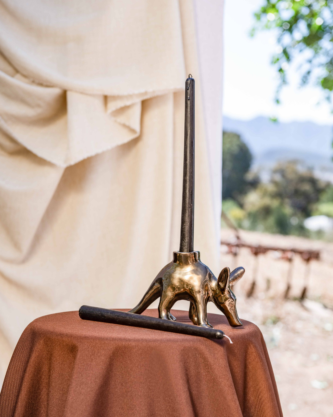 Bronze armadillo sculpture on a table with a scenic background