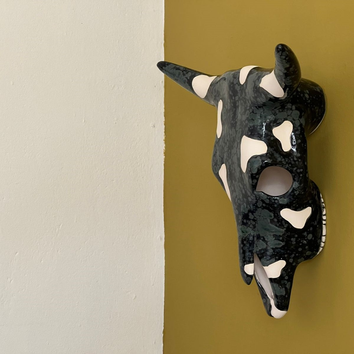 Hand Painted Large Cow Skull - OBSIDIAN