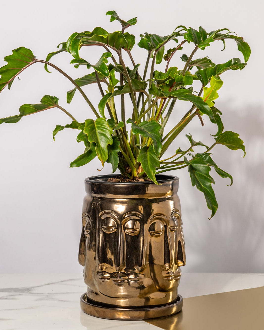 Gold mask-shaped vase with a green plant on a white surface