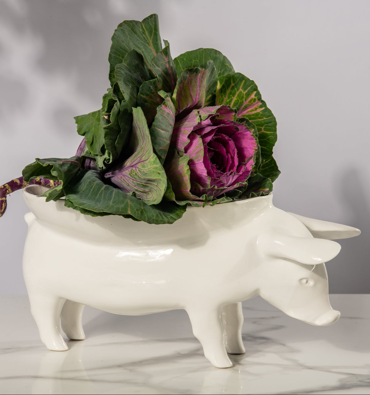White pig-shaped planter with purple and green decorative cabbage on a gray background