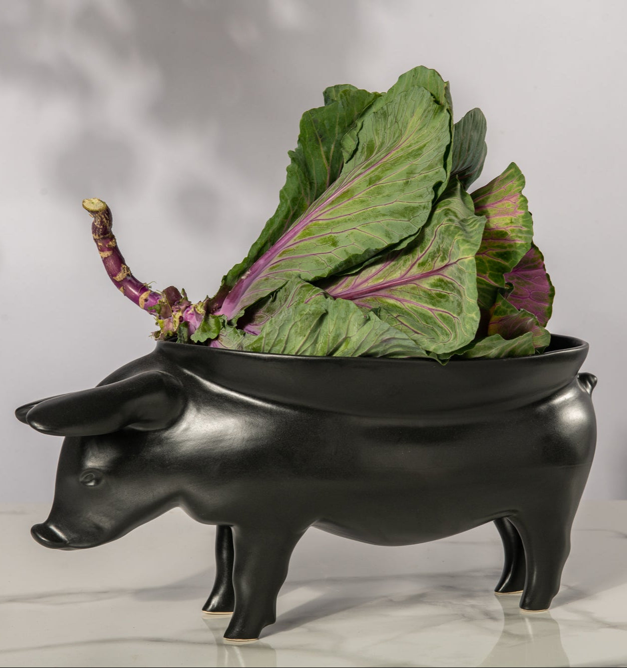 Black pig-shaped planter with green leaves on a marble surface