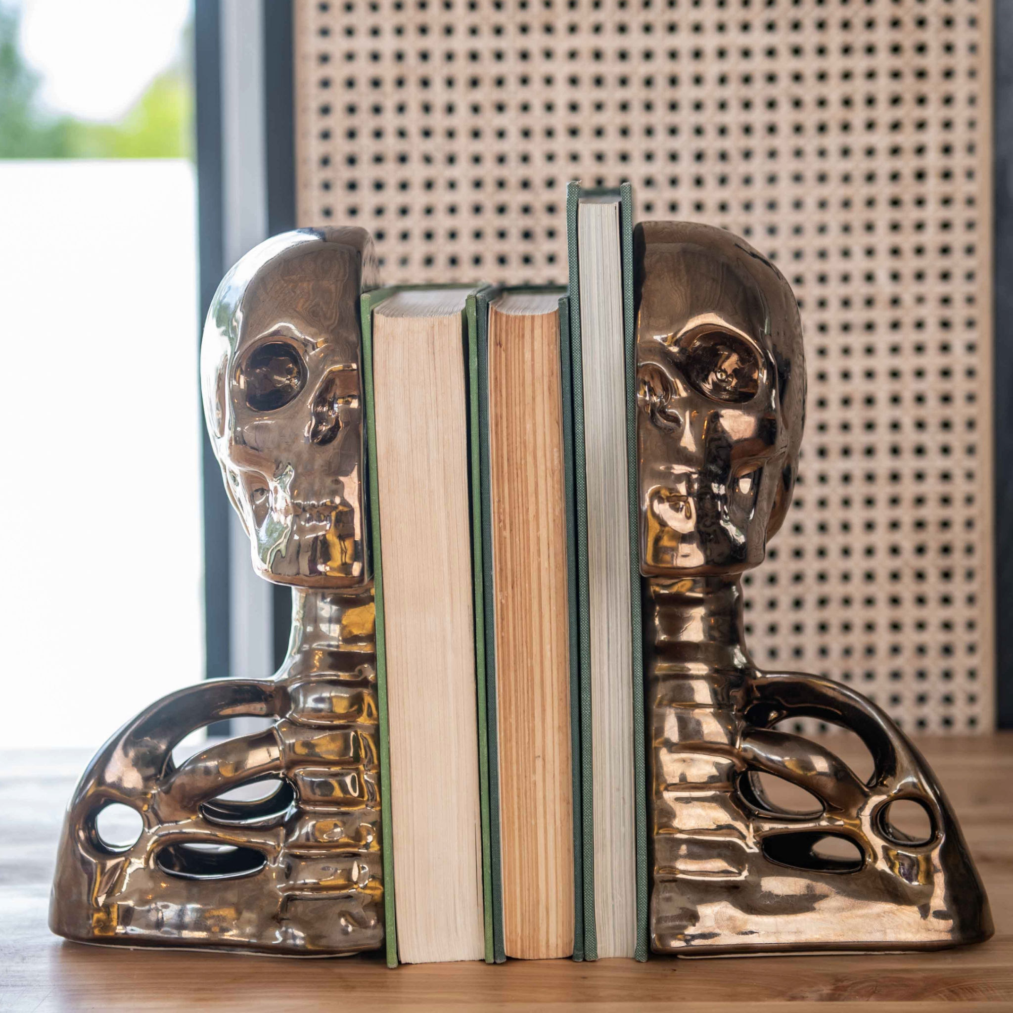 Backbone Human Skull Bookends - Rialheim