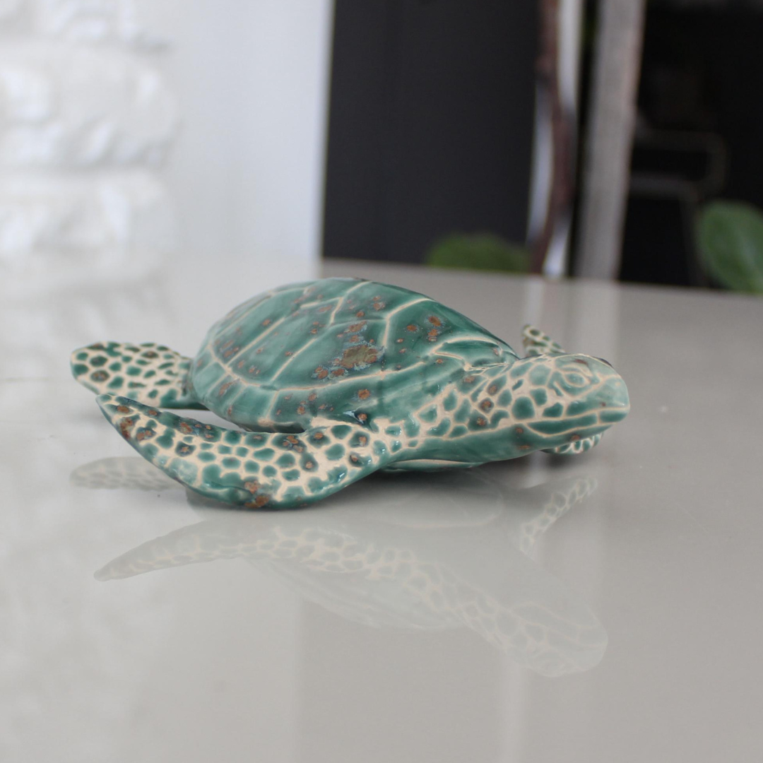Baby Sea Turtle