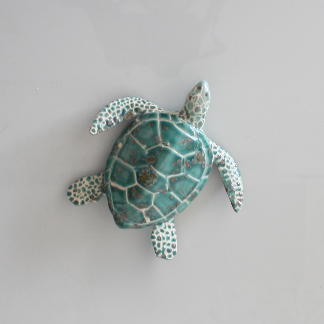 Baby Sea Turtle