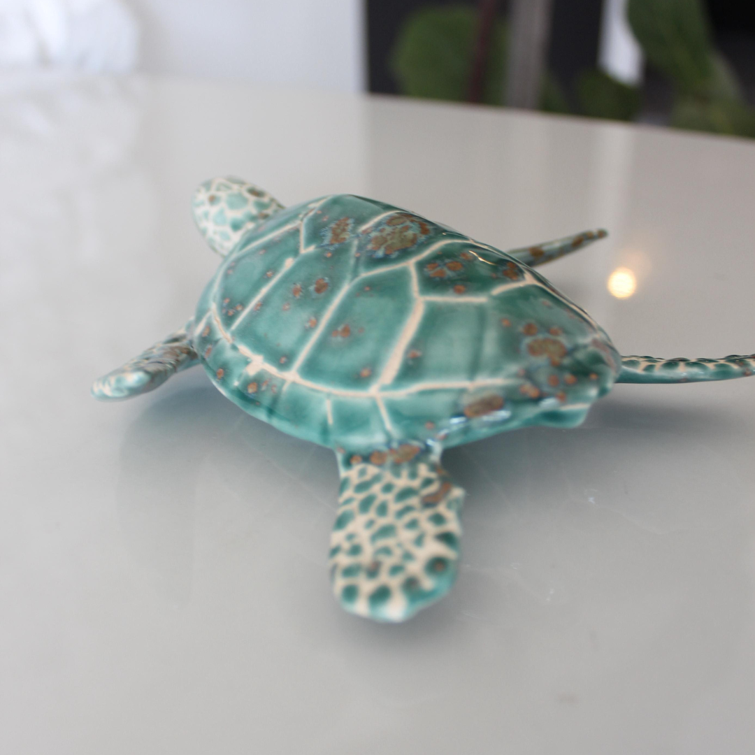 Baby Sea Turtle