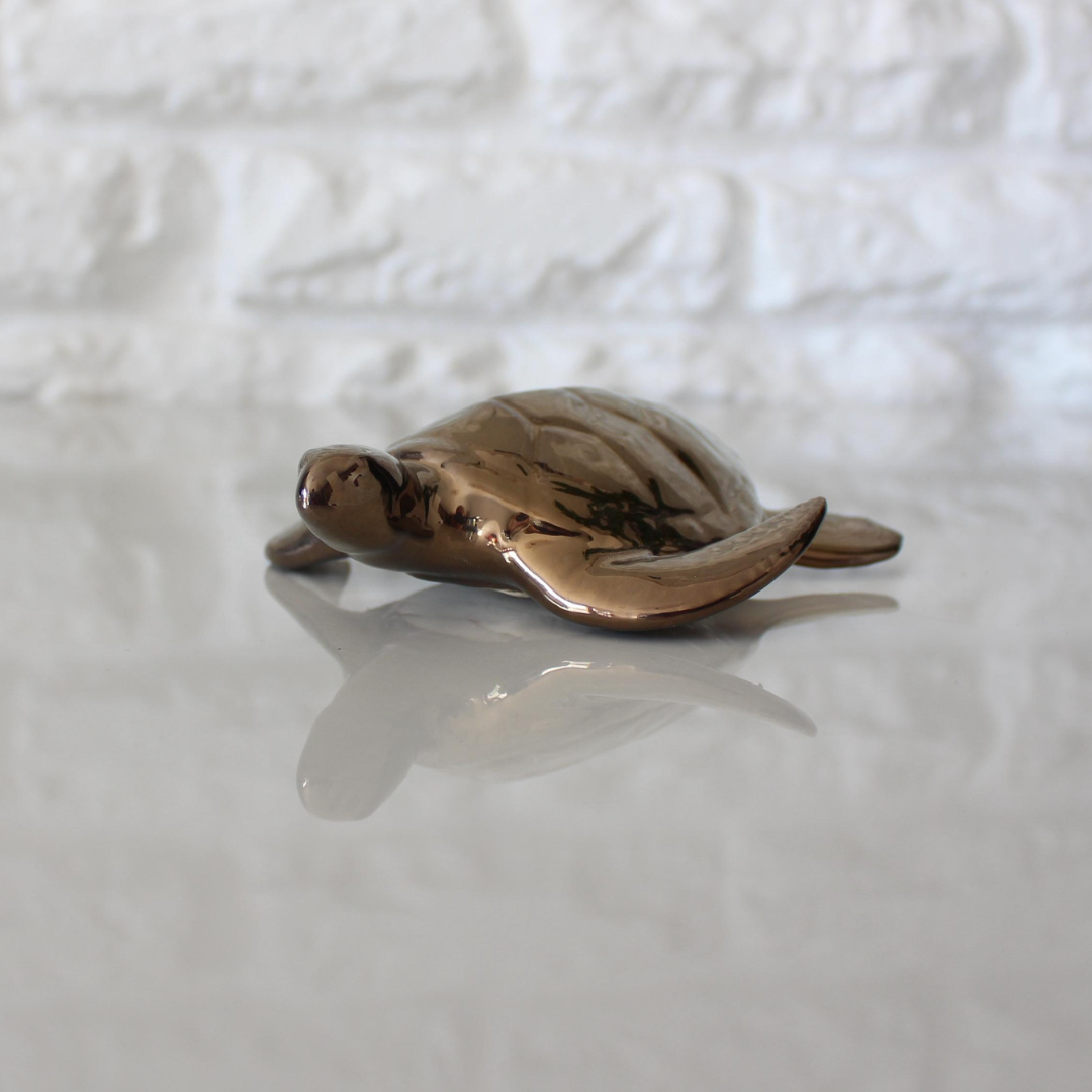 Baby Sea Turtle