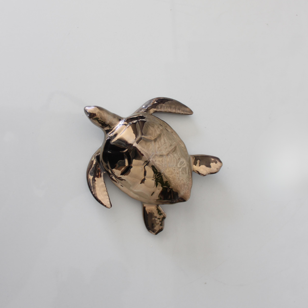 Baby Sea Turtle