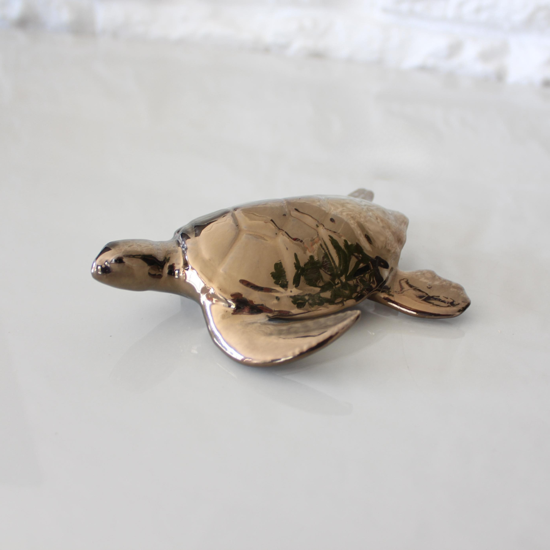 Baby Sea Turtle