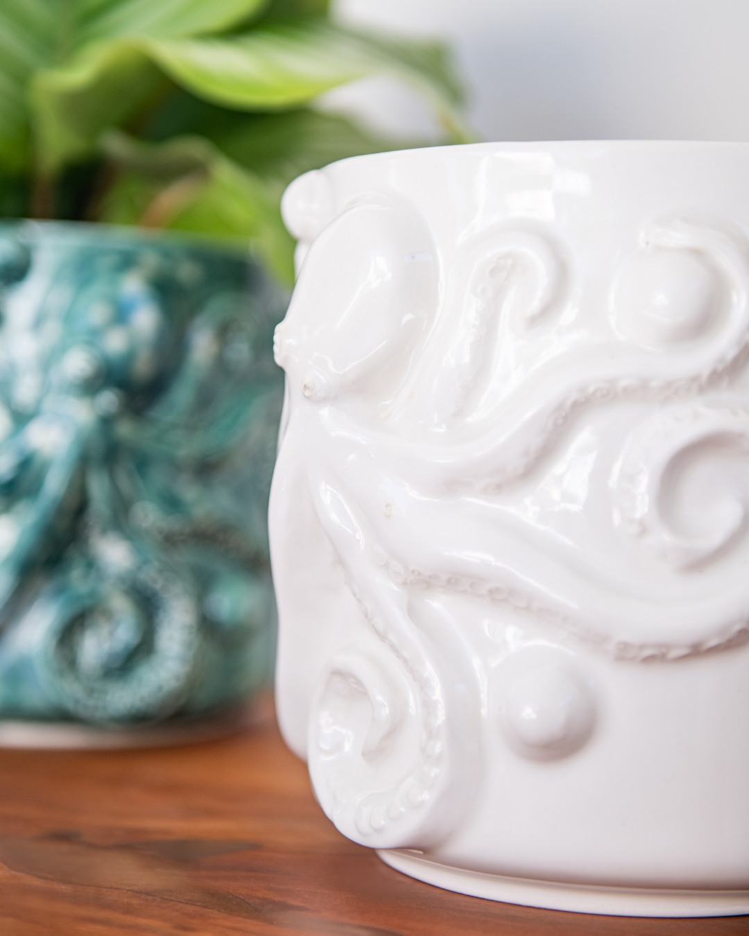 White decorative pot with intricate patterns on a wooden surface, with a blurred green plant in the background.