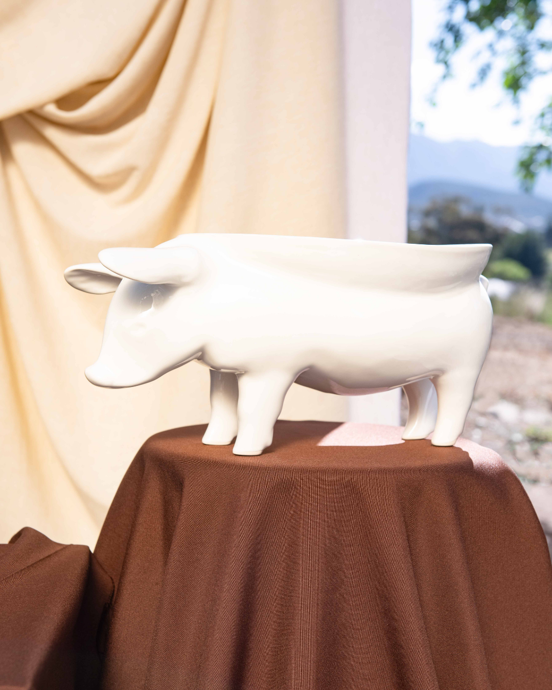 White ceramic piggy bowl on a brown surface with a blurred outdoor background