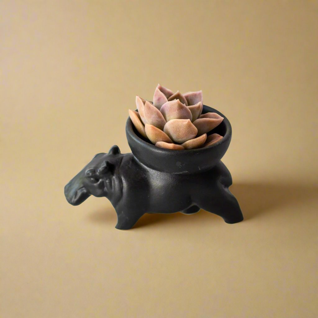 Rialheim_ceramics_hippo_bowl_gifts_saltandpepper_african_handmade_quirky
