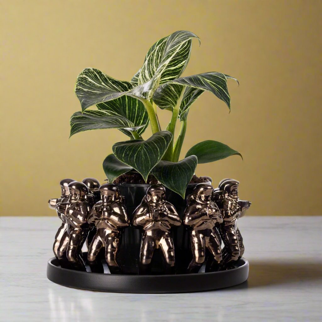 DREAM ROUND BOWL MEDIUM - Rialheim