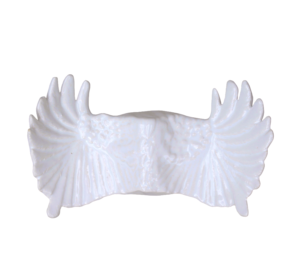 Wing Plate of Truth - Rialheim