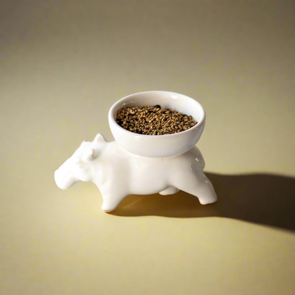 Rialheim_ceramics_hippo_bowl_gifts_saltandpepper_african_handmade_quirky