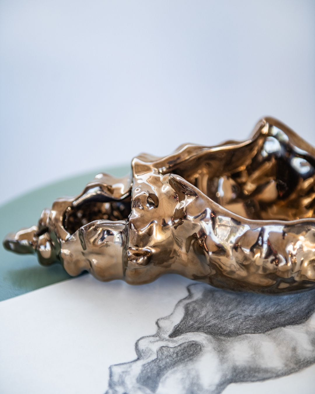 Seashell for Sandwax