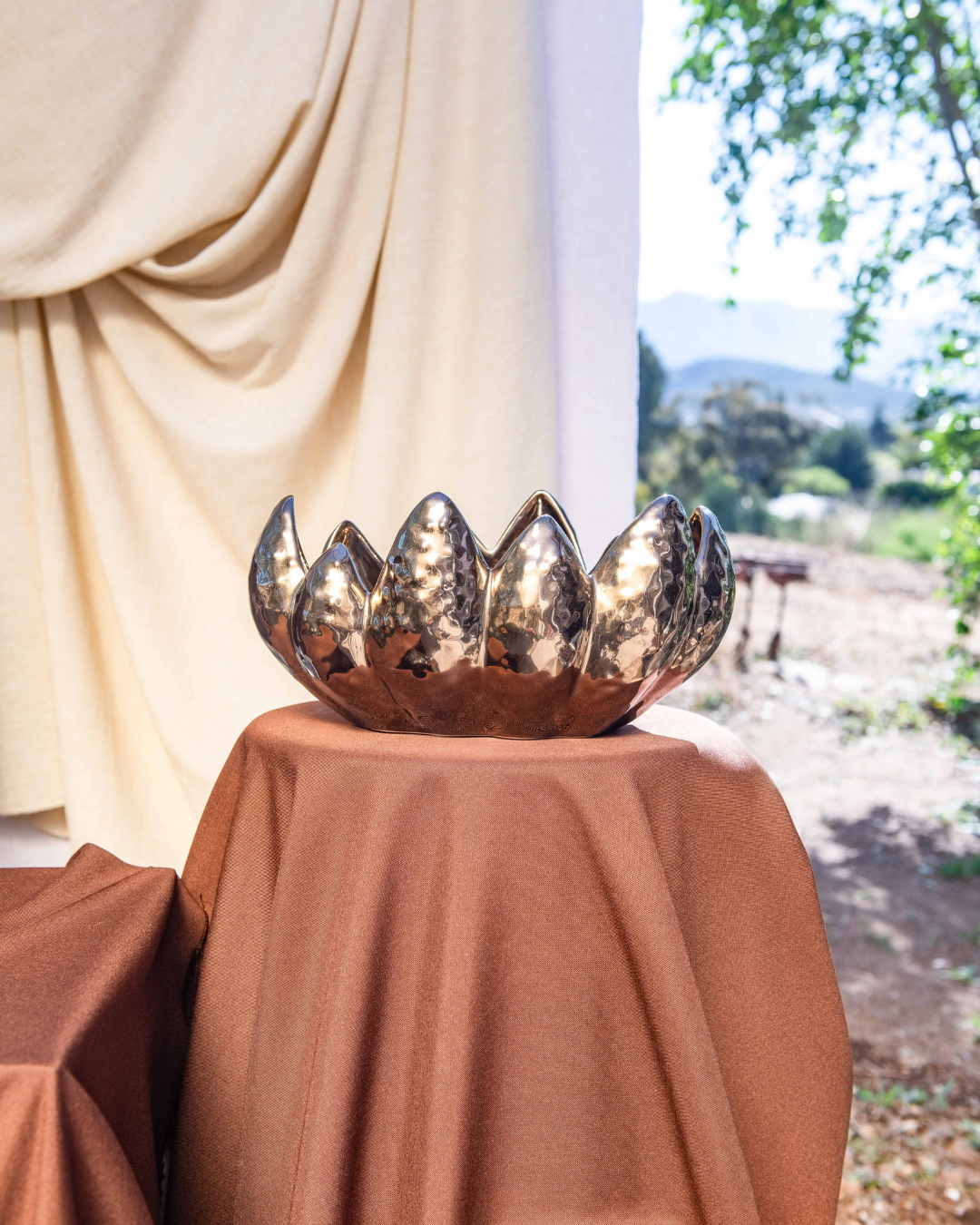 Iconic Aloe Bowl