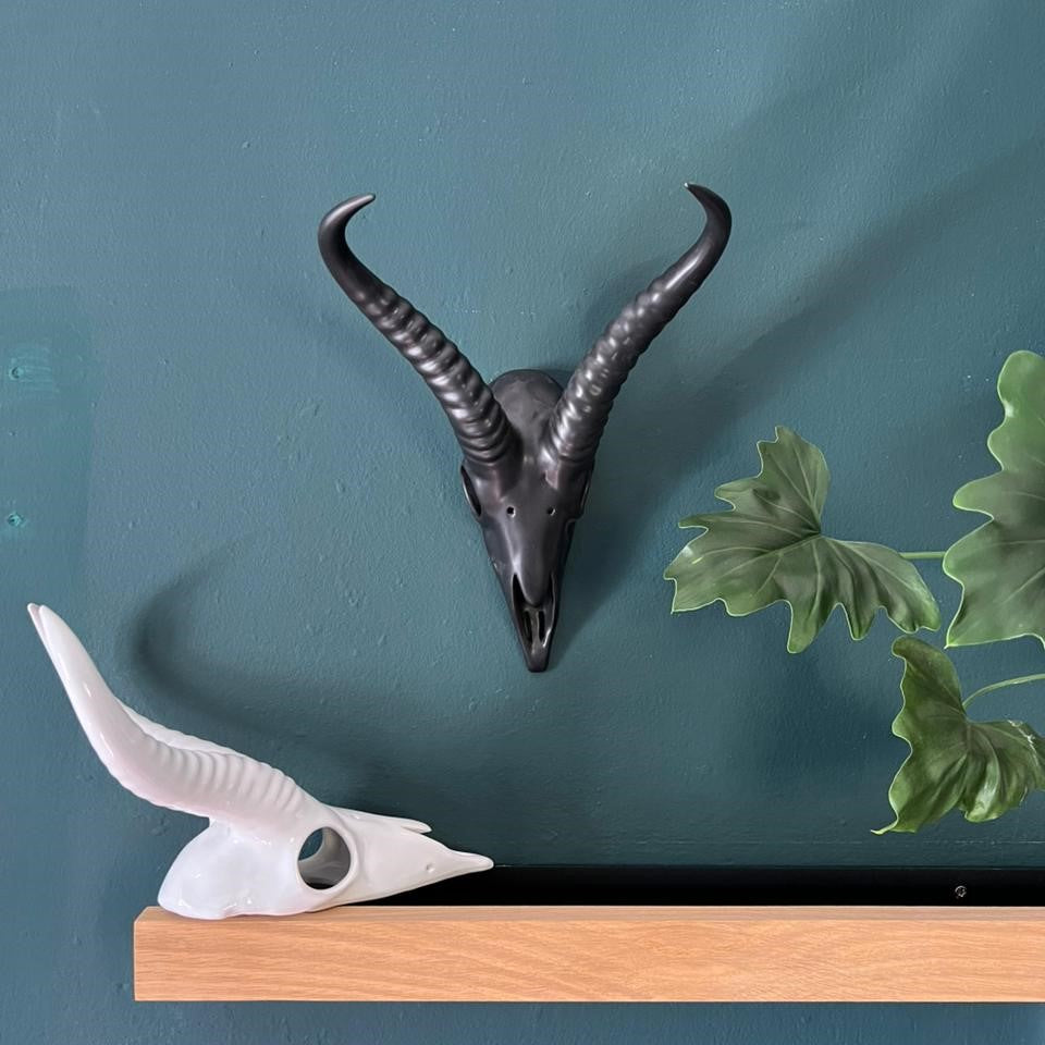 Springbok Wall Skull Medium