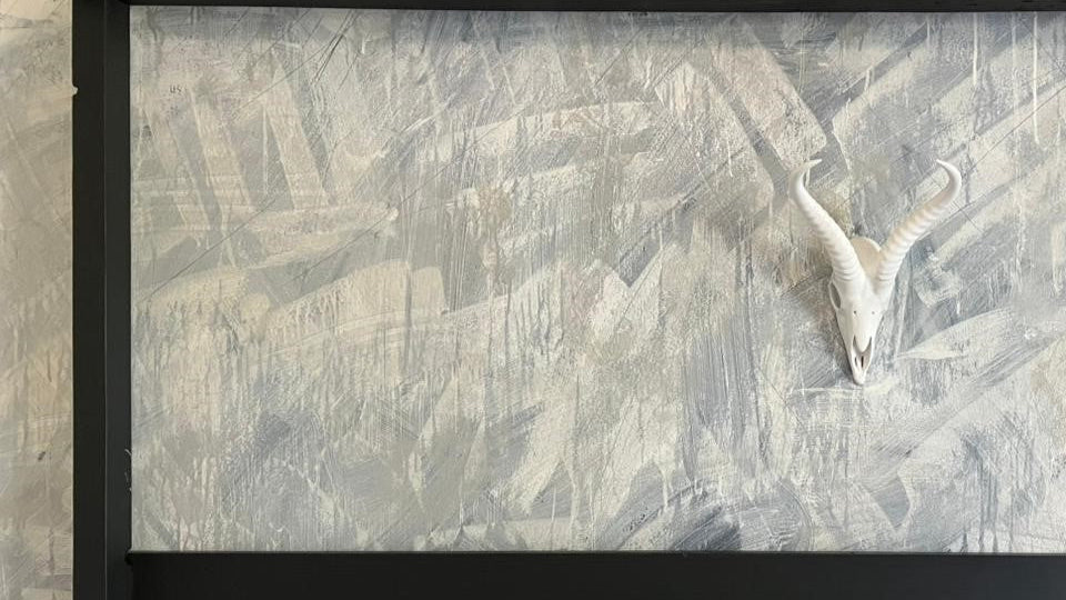 Springbok Wall Skull Medium
