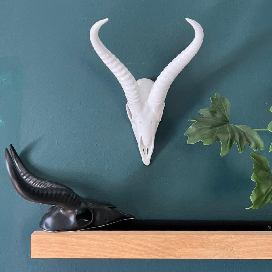 Springbok Wall Skull Medium