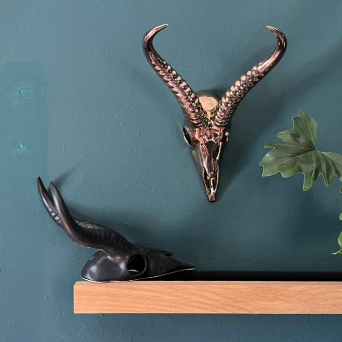 Springbok Wall Skull Medium