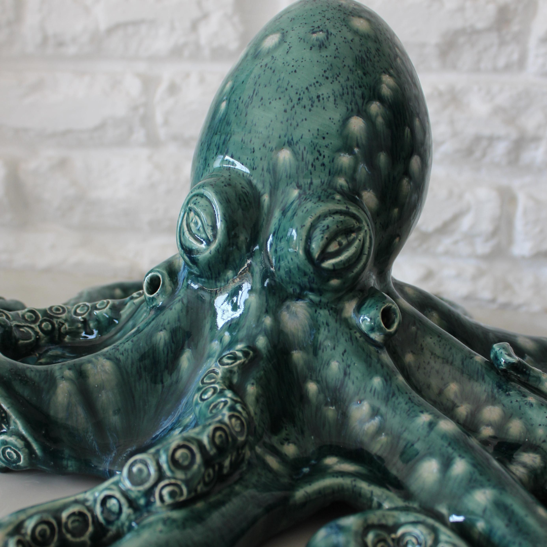 Octopus