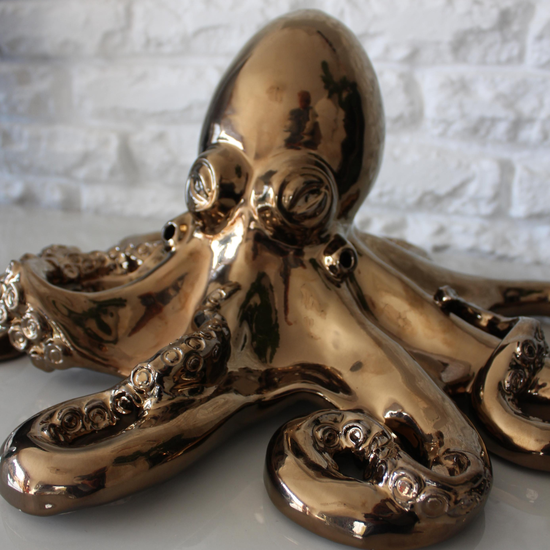 Octopus