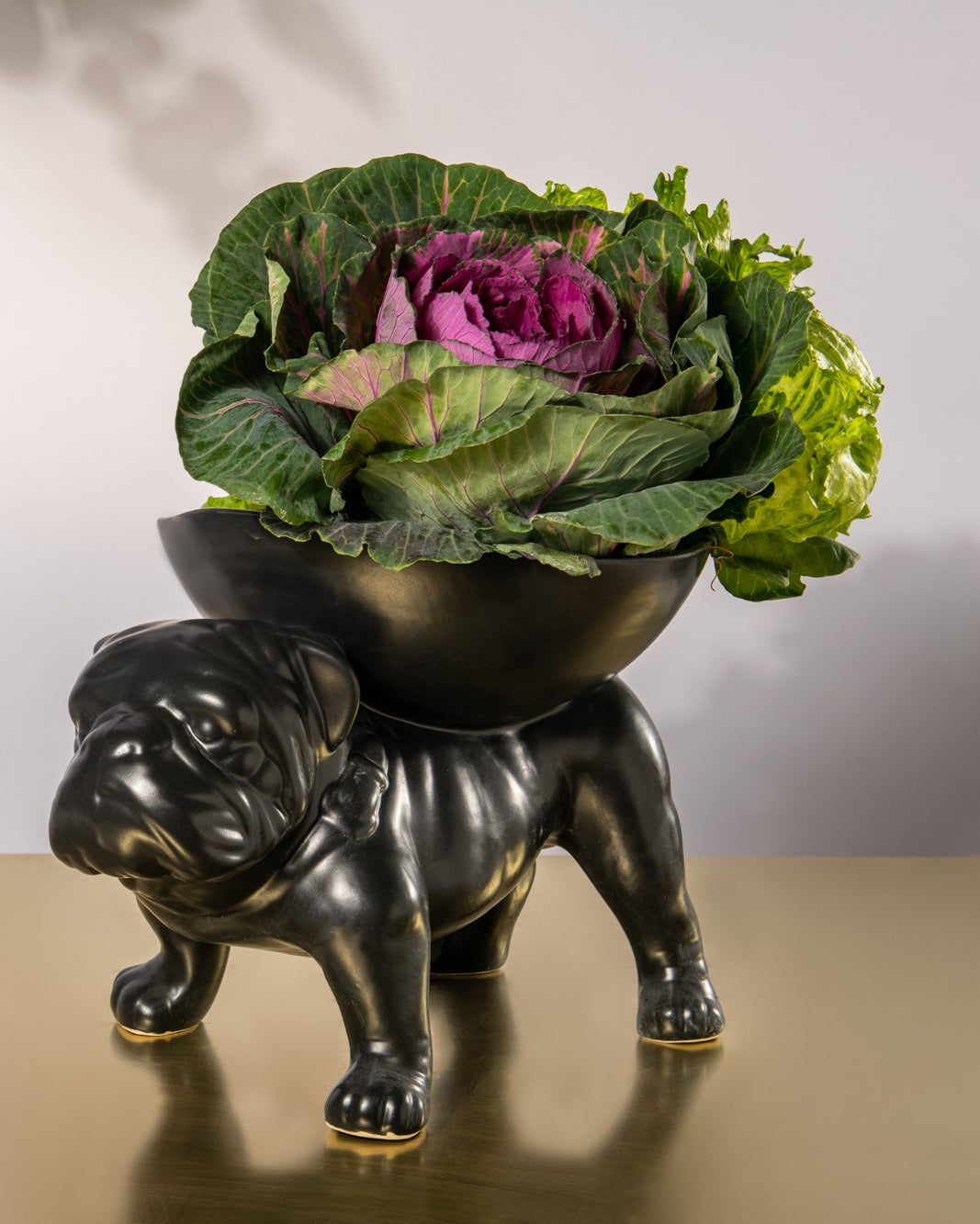 Decorative bowl shaped like a bulldog with a cabbage on a neutral background