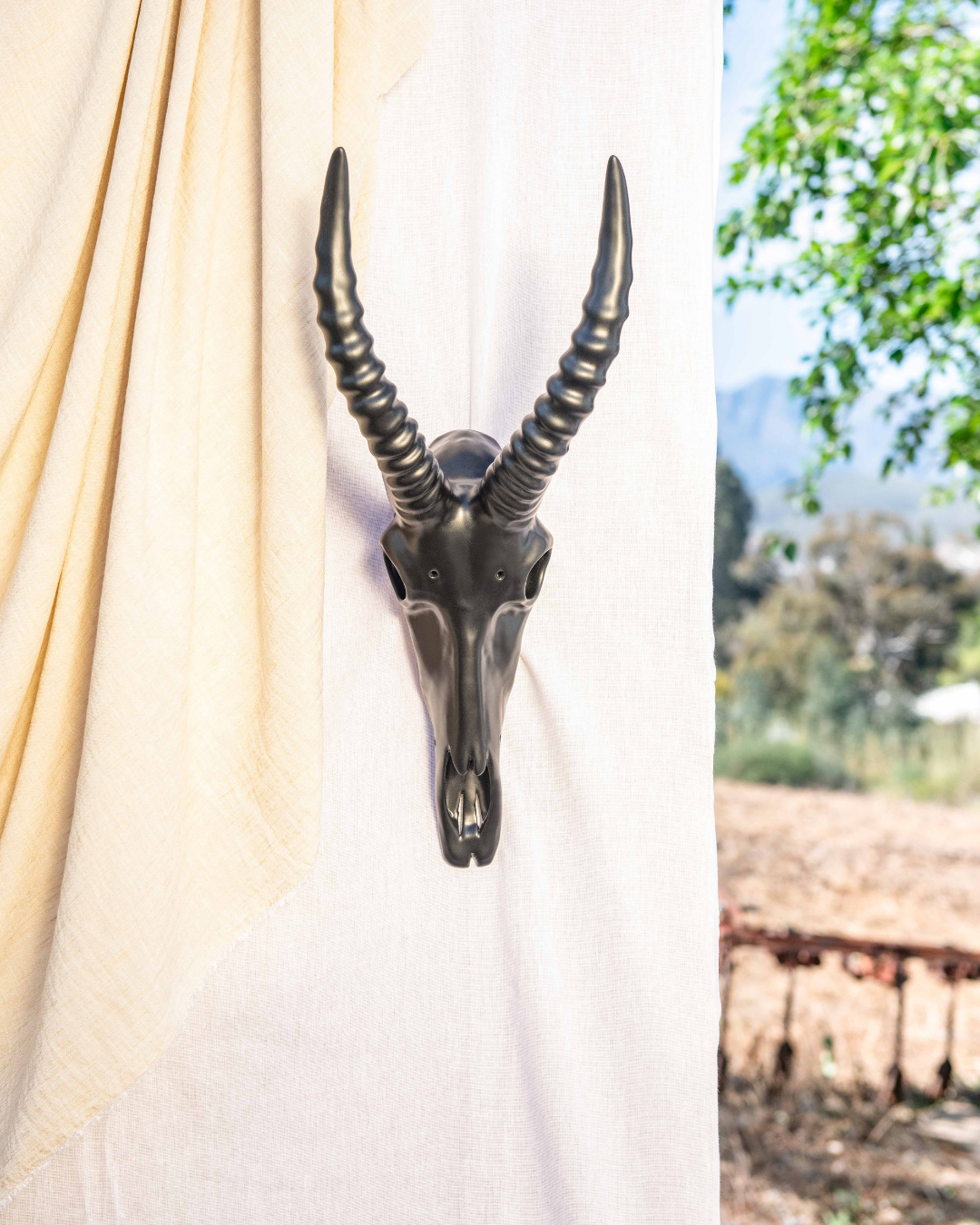 Decorative antelope skull with large horns on a white curtain with a blurred outdoor background