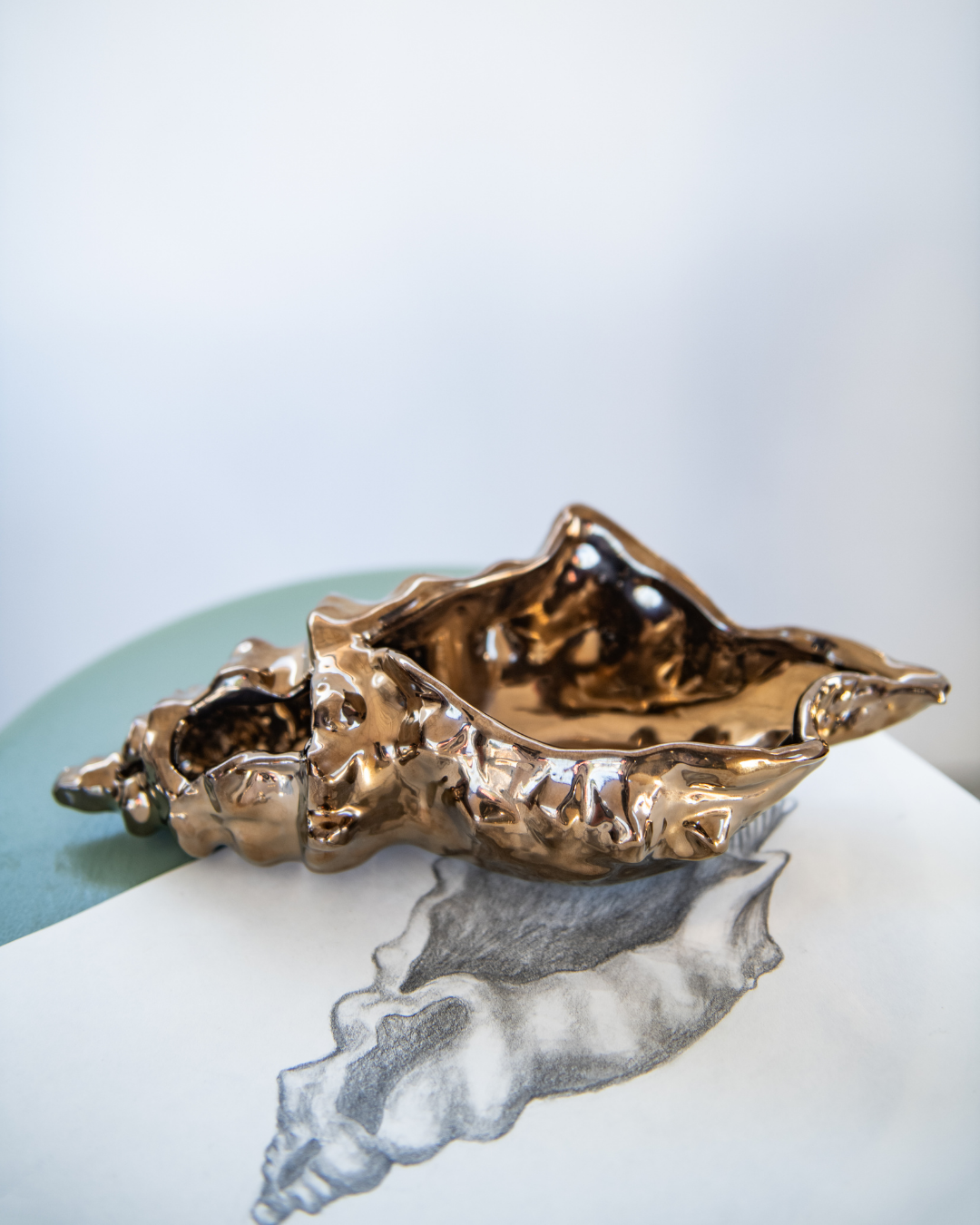 Bronze shell-shaped dish on a light background