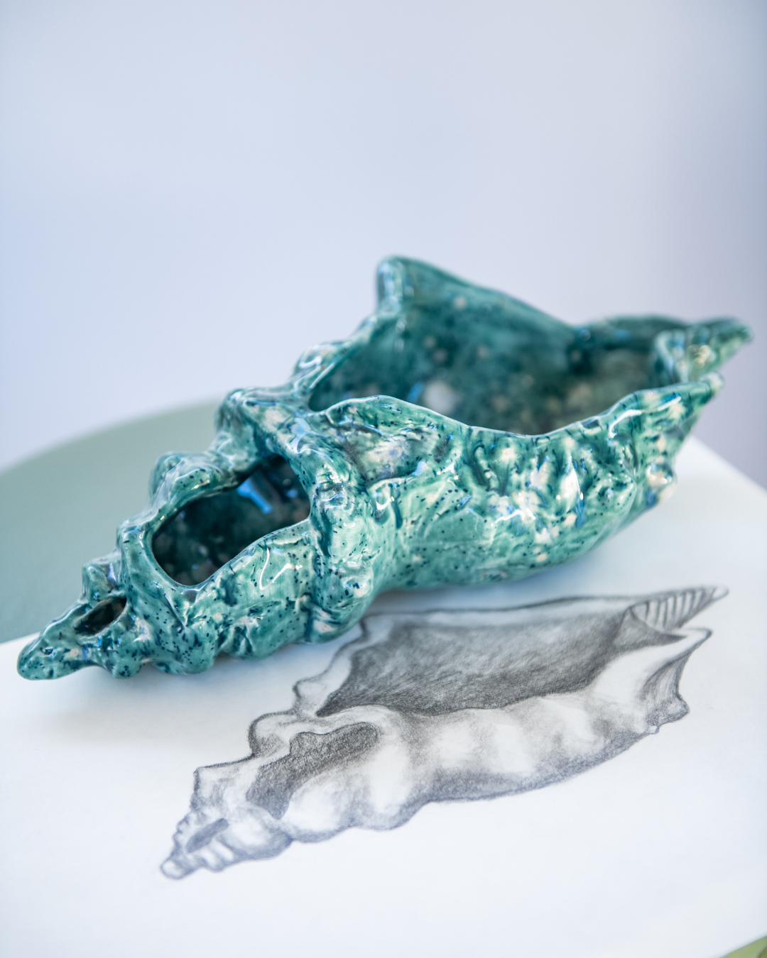Decorative teal shell on a white surface with a pencil drawing of a shell below.