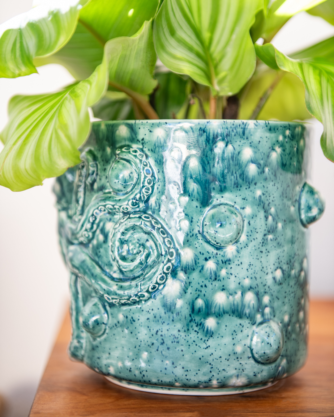 Teal ceramic planter with decorative patterns on a wooden surface