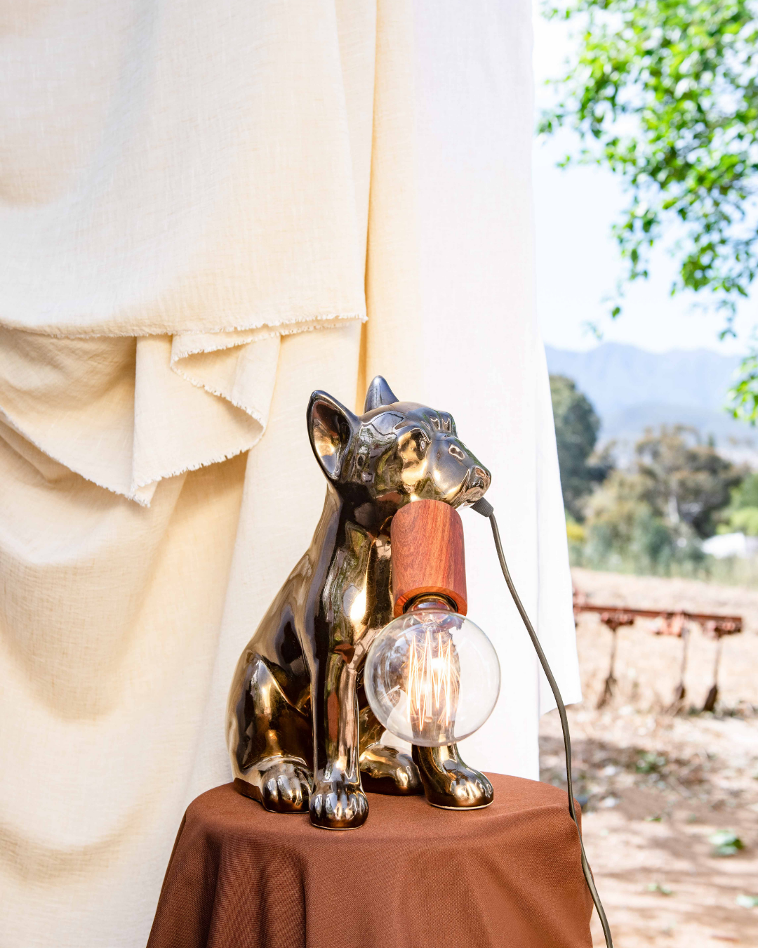 Bronze French Bull Dog statue with a wooden light fitting on a brown surface outdoors
